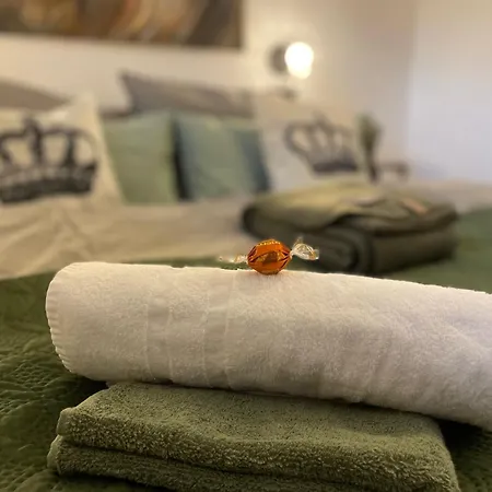 Femo - Royal - Oberstadt - Separater Eingang - Zentral Apartamento Siegen