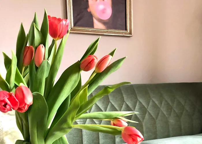 Femo - Royal - Oberstadt - Separater Eingang - Zentral アパート